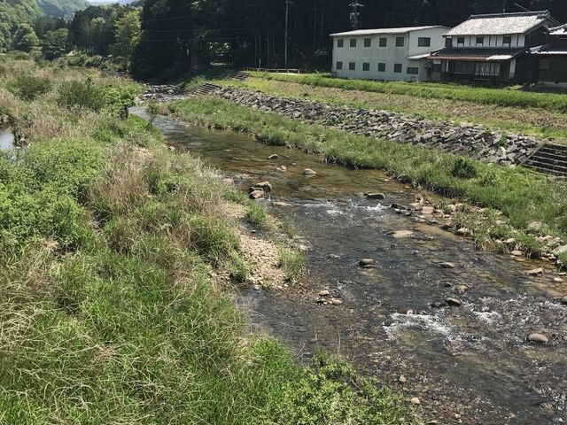 名張川_名張川