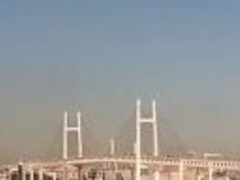 べレアさんの横浜ベイブリッジへの投稿写真1