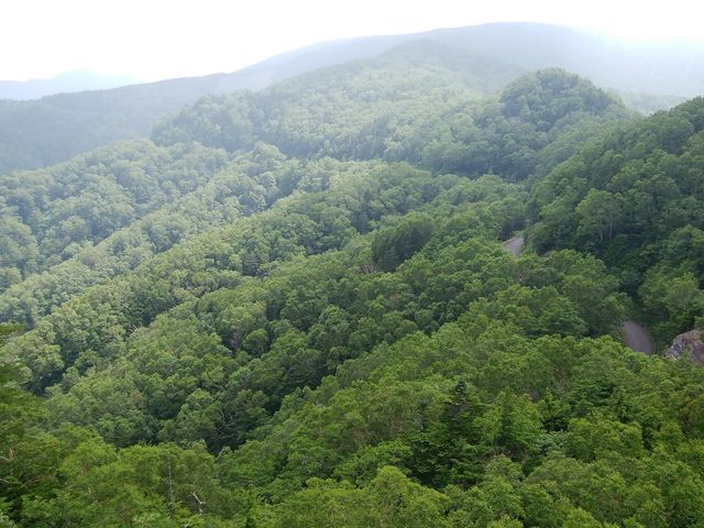 はるか眼下に車道がある_トキンの岩