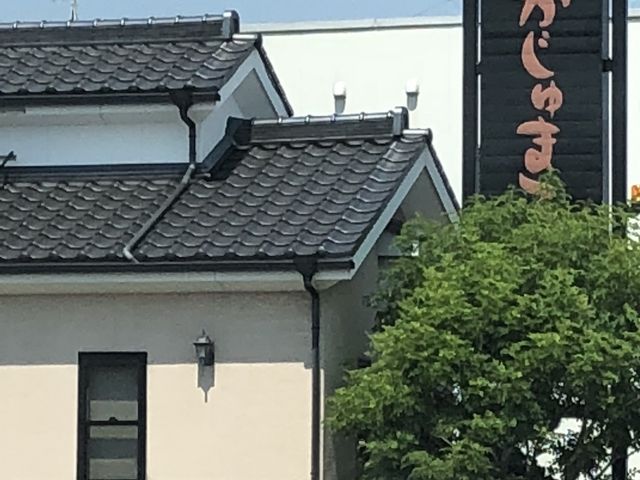 外観_がじゅまる