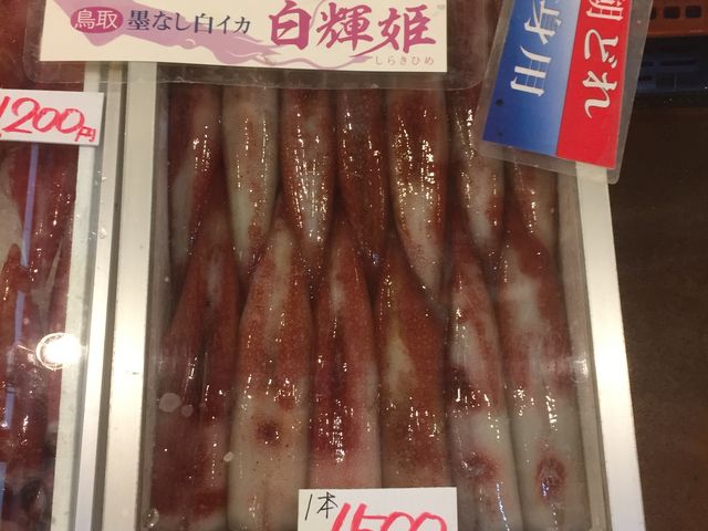 白いか_鳥取港海鮮産物市場かろいち
