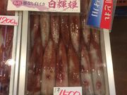 とうたんさんの鳥取港海鮮産物市場かろいちの投稿写真1
