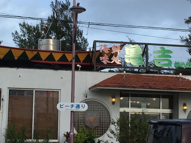 亀吉_亀吉