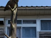 Yanwenliさんの智頭往来の投稿写真1