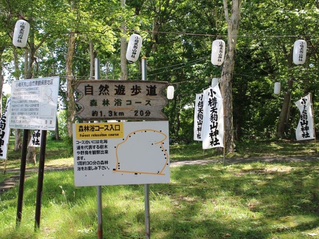 森林浴コース_小樽周辺自然歩道