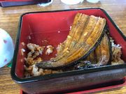 ナナさんの四万十川観光遊覧船の投稿写真2
