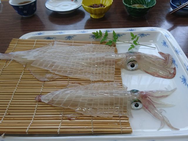 新鮮なイカ刺_漁師民宿 大慶