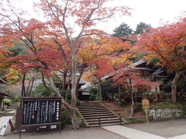 外観
_居士林(円覚寺)