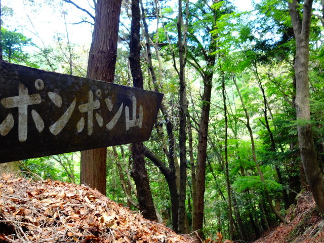 ポンポン山_ポンポン山