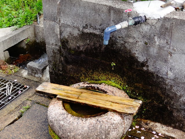 水汲み場_大杉の清水