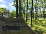 topologyさんの鶴ヶ岱公園の投稿写真1