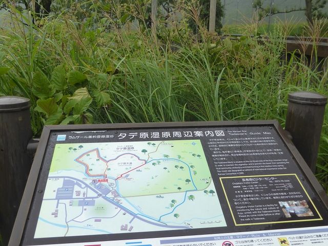 案内図_タデ原湿原