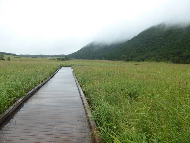 木でできているので周囲の風景を損なわない_長者原自然研究路