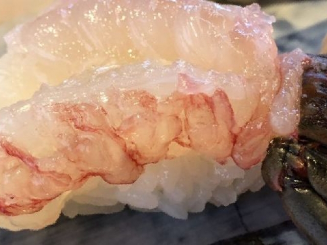 伊勢海老の握り_かね八寿し