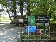zinさんの弘前城植物園の投稿写真1