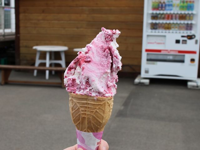 ハスカップ味_深山アイス工房