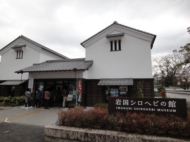 全景_岩国シロヘビの館