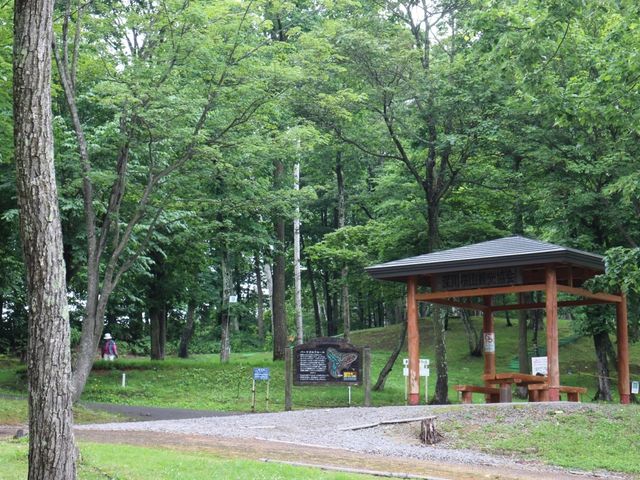 パークゴルフ場_桜山公園