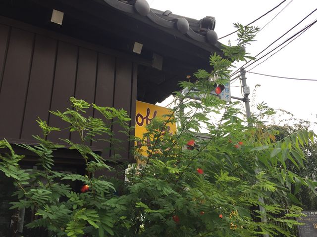 黄色い看板が印象的_カヤバコーヒー店