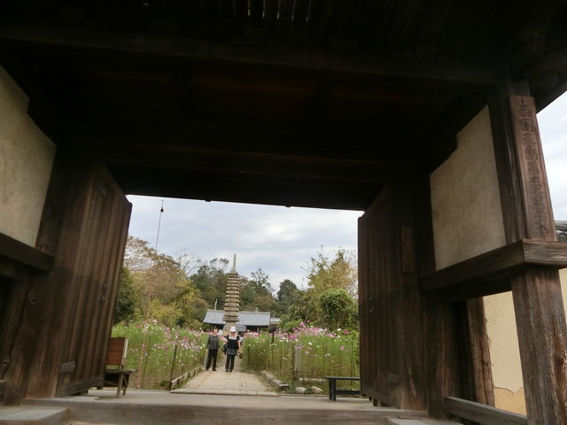 植村牧場カフェレストランいちづ
