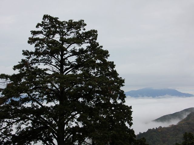 ケーブルカーを降りたところからの眺めです。_高野山