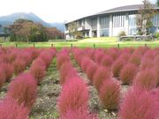 kuriyumiさんの大石公園の投稿写真1