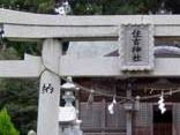 アクセルゼンカイさんの住吉神社の投稿写真1