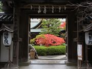 Yanwenliさんの高野山の投稿写真2