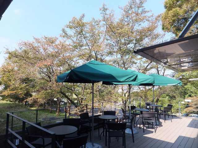 テラス席から紅葉の桜並木が見えます。_スターバックス・コーヒー 多賀サービスエリア上り線店