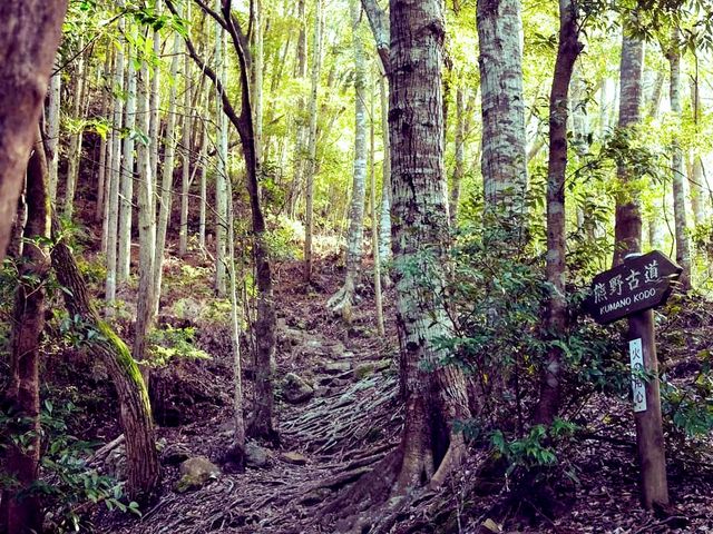 中辺路_熊野古道(和歌山県海南市)