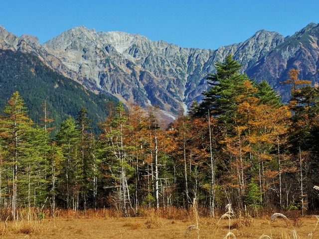 田代湿原から穂高連峰_田代湿原