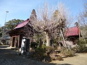 イオンさんの松虫寺の投稿写真1