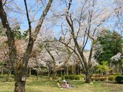 ゆうぽんさんの石川県樹木公園の投稿写真1