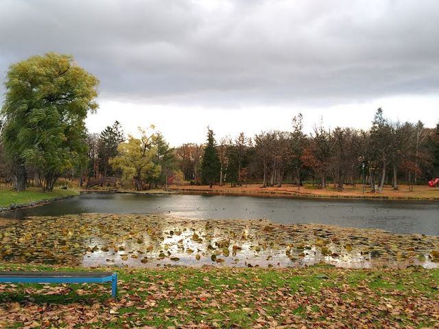 風景_名寄公園