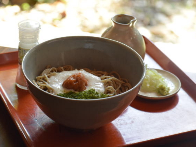 梅とろろ蕎麦_がんこ庵
