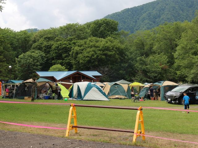 自然豊か_日高町 沙流川 オートキャンプ場