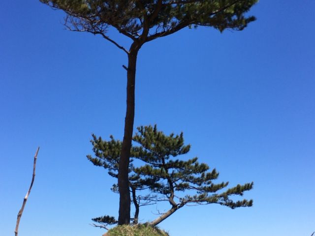 2_加佐の岬