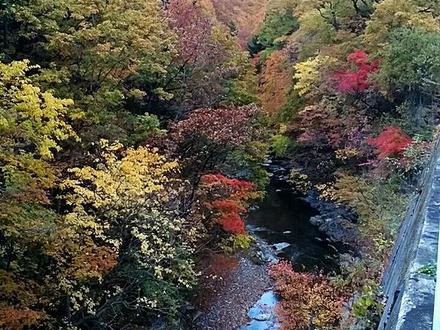 湯西川温泉付近_鬼怒川温泉オートキャンプ場