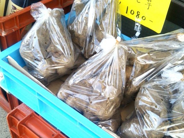 忍野産のやまと芋_日の出屋