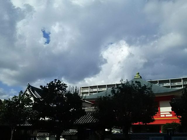 外から内観_法巖寺の大クス