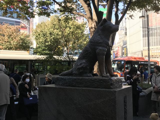 ハチ公久しぶりに記念撮影_忠犬ハチ公像