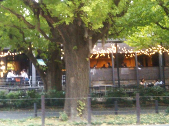 『シェイク シャック 外苑いちょう並木店(SHAKE SHACK)』。_シェイク シャック 外苑いちょう並木店(SHAKE SHACK)