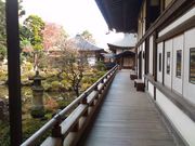 kuriyumiさんの恵林寺庭園の投稿写真1