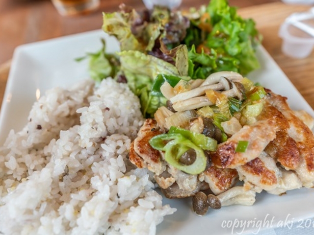 ランチセットのプレート_ろまん亭 カフェ・ド・ロマン 藻岩店