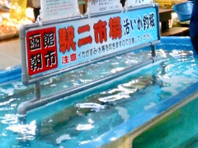 イカ_函館朝市 駅二市場 活いか釣り広場