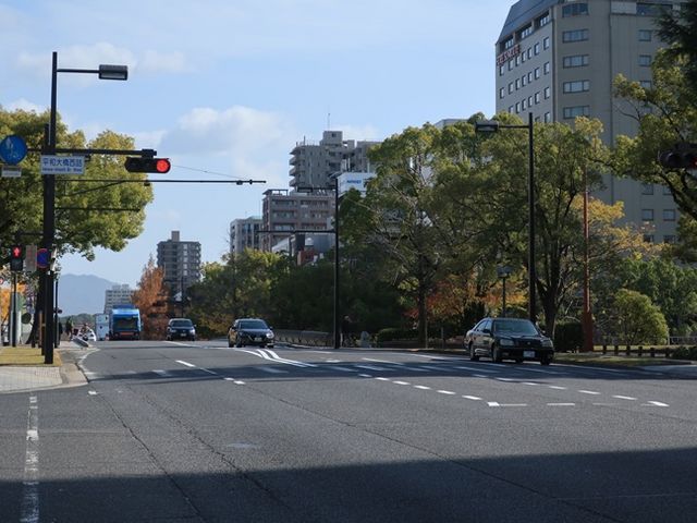 緑地帯の役割も果たす_平和大通り