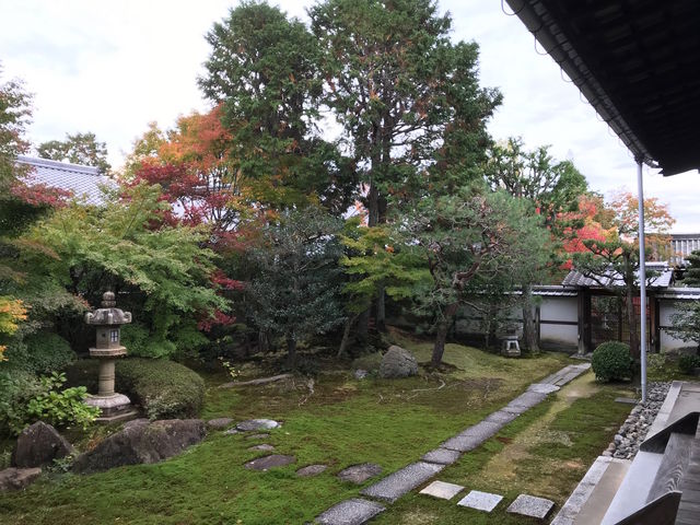 栗棘庵庭園_京料理 高澤