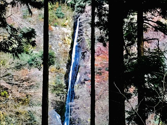 思った以上の水量でした。_洒水の滝