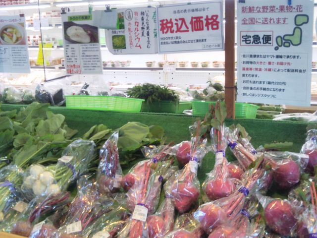 土のめぐみ館_土のめぐみ館