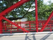 キヨさんの藤波八丁の投稿写真3